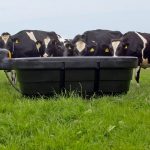1000 litre oval fast fill water trough
