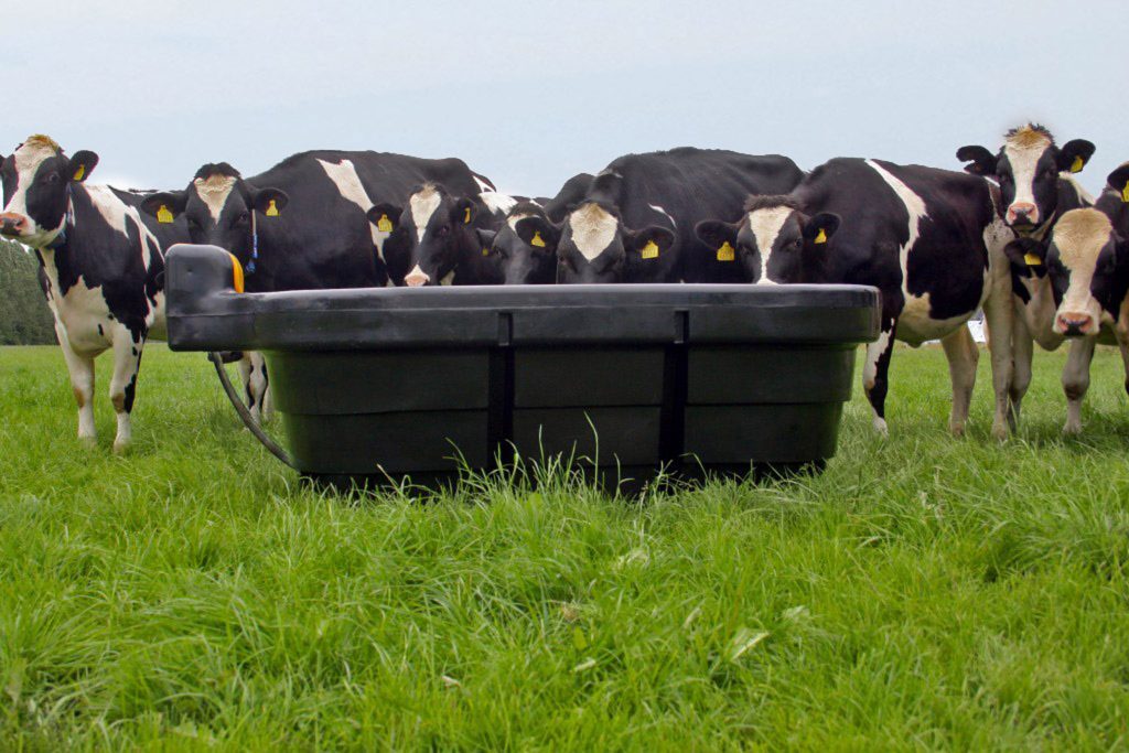 450 Ltr. / 100 Gal. Oval Fast-Fill Water Trough cows drinking