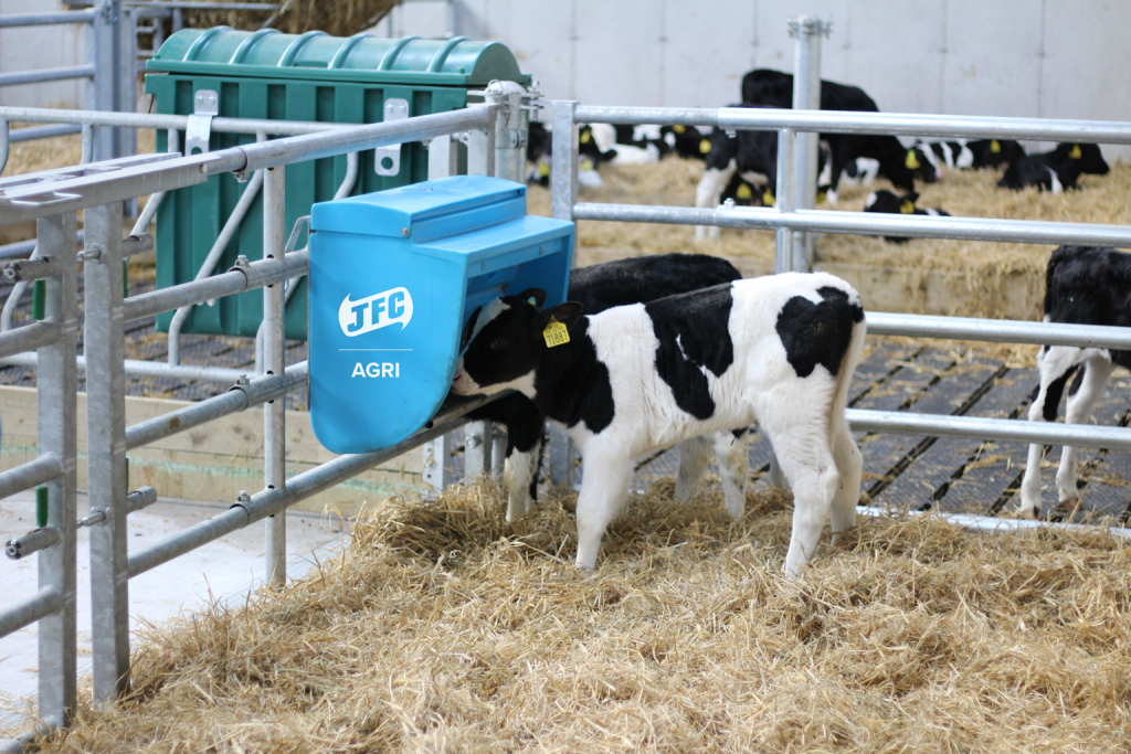 Mini Creep Feeder (Light Blue) calf eating