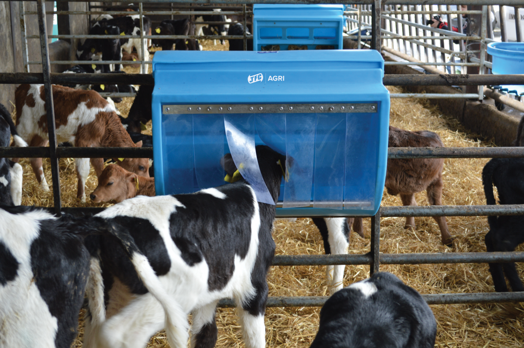 Mini Creep Feeder (Light Blue) calf eating