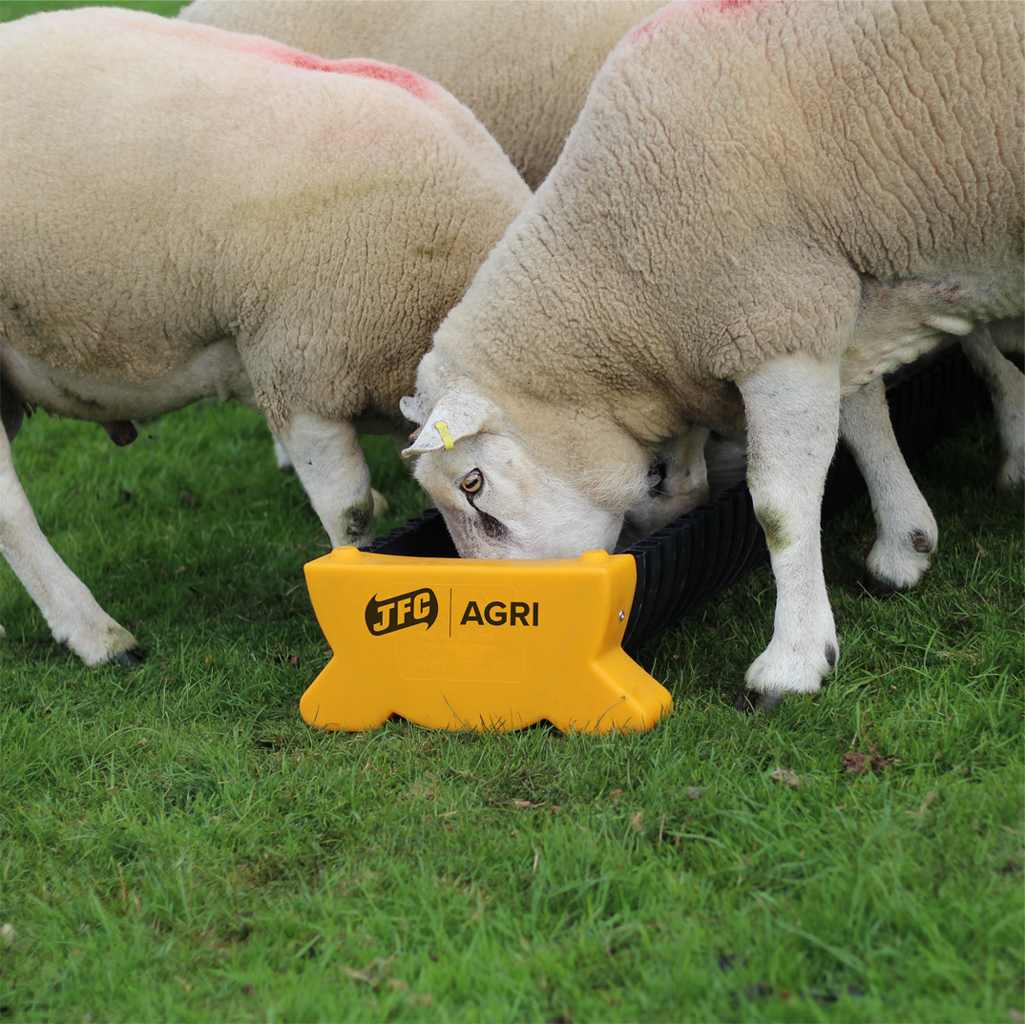 225mm x 2.3m Corri-Feed Trough sheep eating