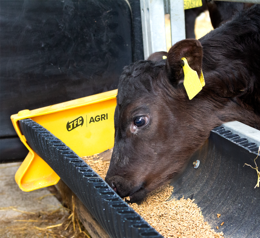 300mm x 2.3m Corri-Feed Trough cow eating