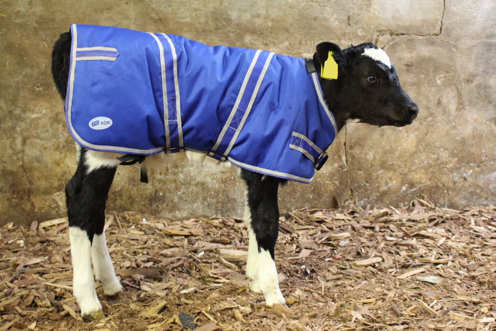 JFC Agri Calf Jacket - Large - 85cm side view