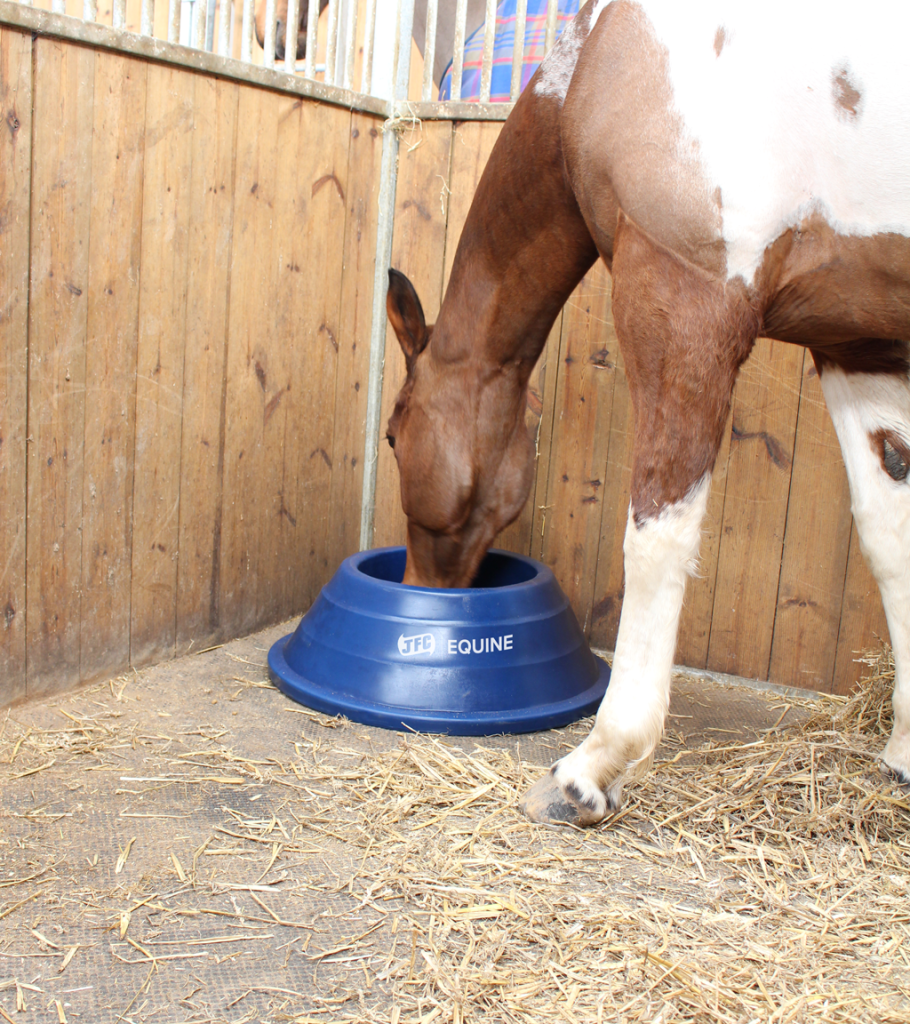 Circular Floor Feeder (Blue) horse eating