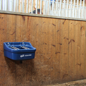 Standard Foal Feeder (Blue) attached to wooden wall