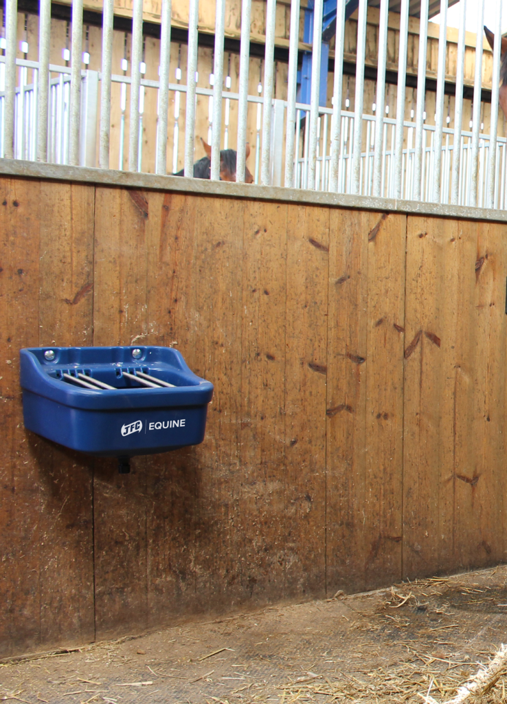 Standard Foal Feeder (Blue) attached to wooden wall