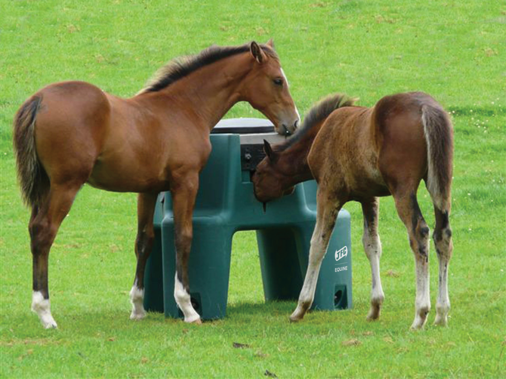 Ringfort Foal Feeder [made to order]