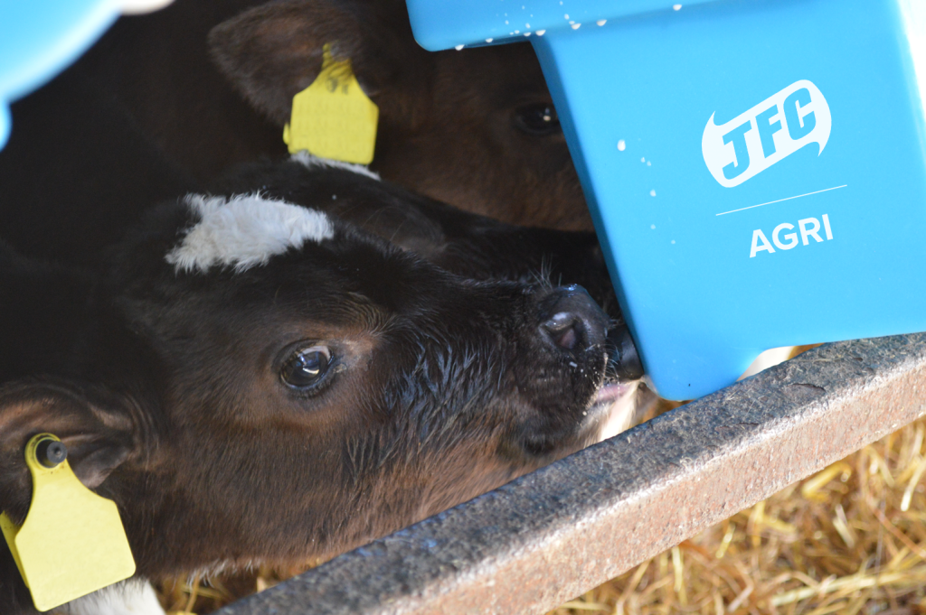 6 Teat Compartment Feeder - EazyFlow Teats with cow suckling