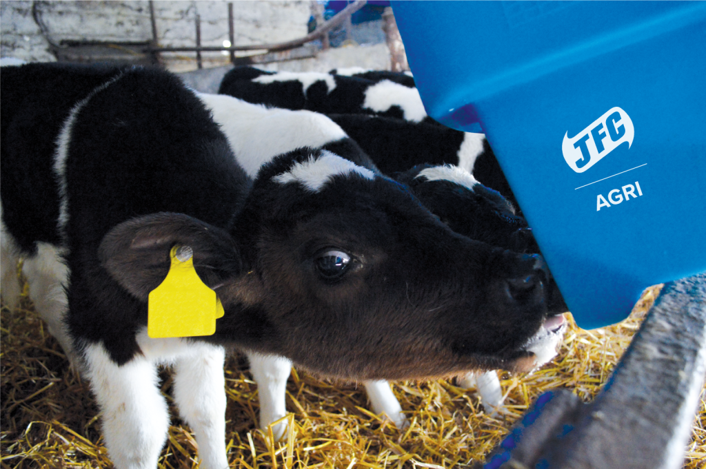 6 Teat Compartment Feeder - EazyFlow Teats with cows feeding