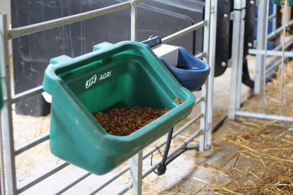 Small Gate / Fence Feed Trough front view