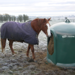 Horse Haybell with horse next to it in the snow
