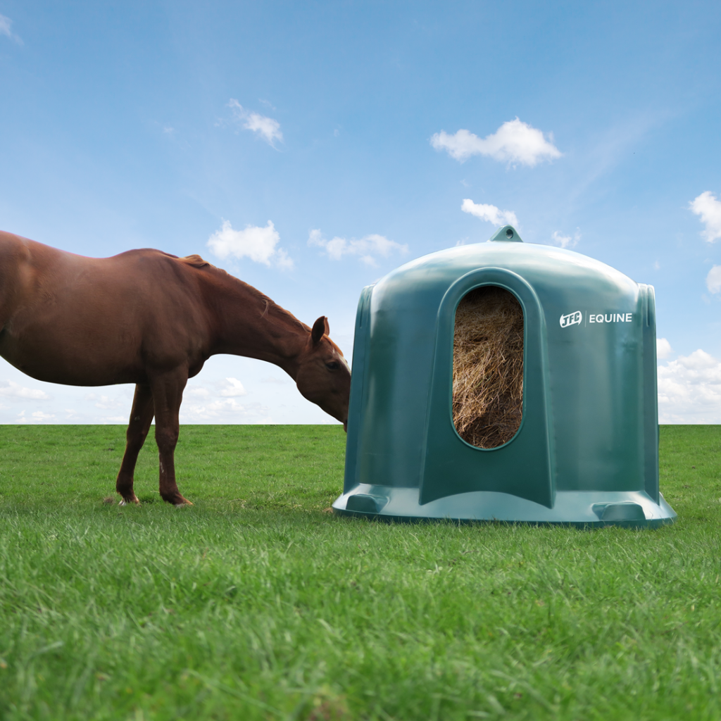 Horse Haybell with horse eating
