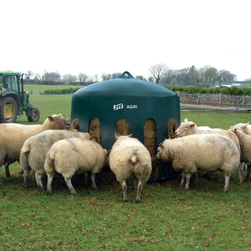 Sheep haybell with sheep eating