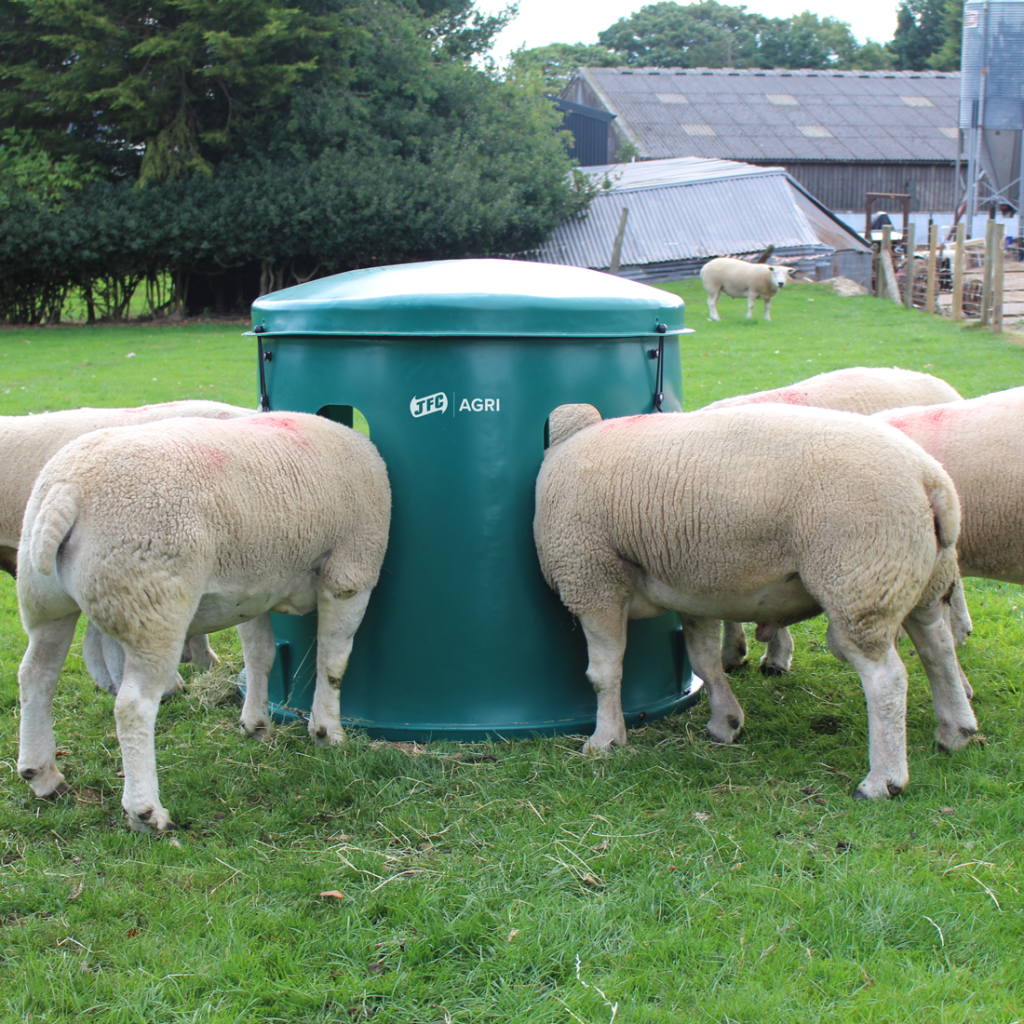 Mini Sheep Haybell with sheep surrounding