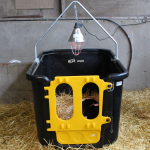 Calf Isolation Unit with calf lying down in it