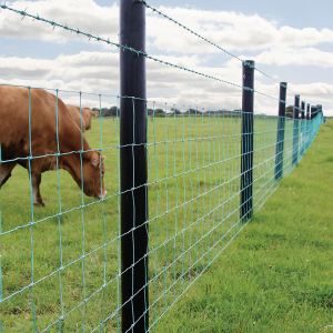 2g polyethylene solid strainer fence posts installed with electric fencing