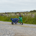 Junior Tipping Wheelbarrow (Blue) being pushed by child