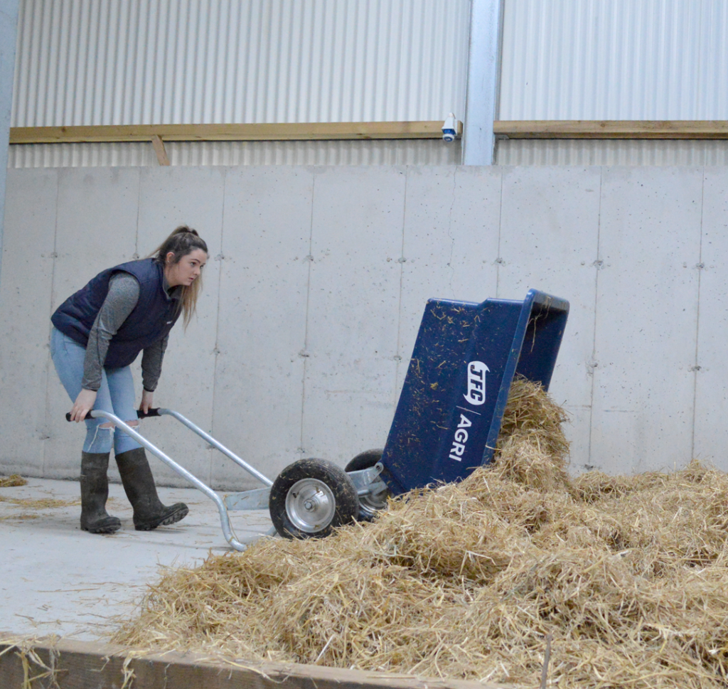 Blue 250 Litre Tipping Wheelbarrow being tipped forward into a pile of hay