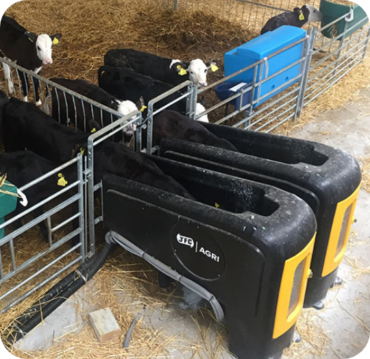 two automatic calf feeders