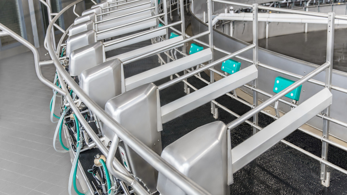 A big rotary milking parlour used for milking cows more efficiently